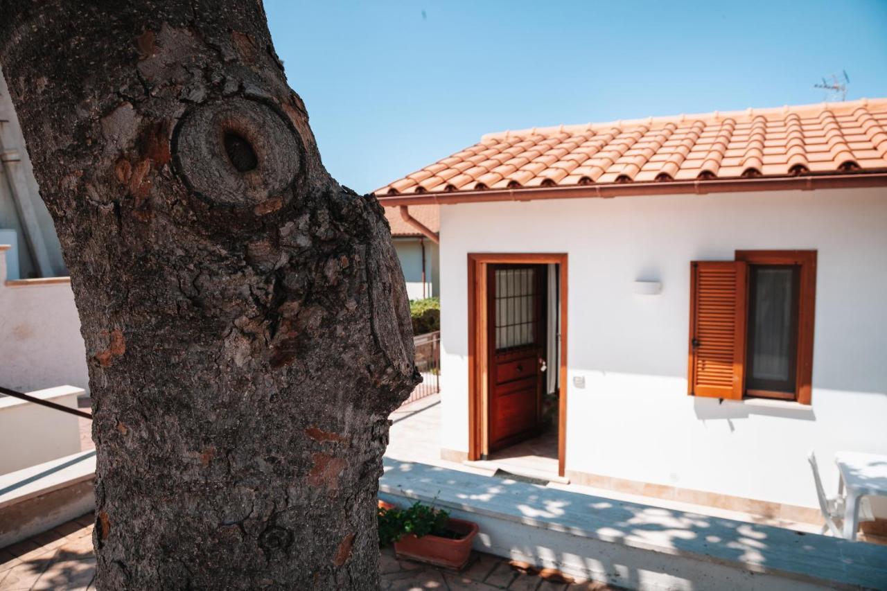 Magnolia Rooms Civitavecchia Eksteriør billede
